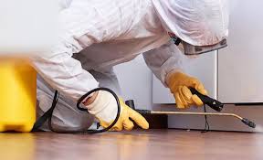 Best Fumigation Services  in USA